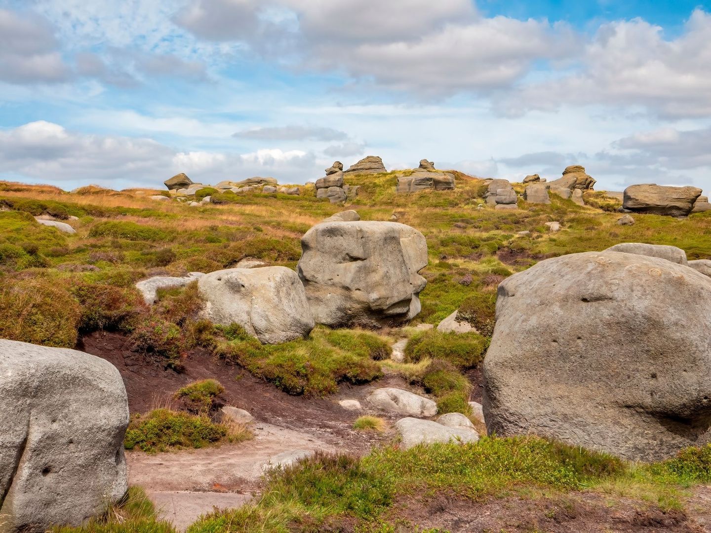 Granite boulders scattered across Bodmin Moor under a cloudy sky